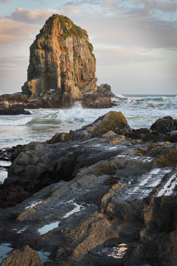 The Catlins New Zealand.  Cannibal Bay Rocks