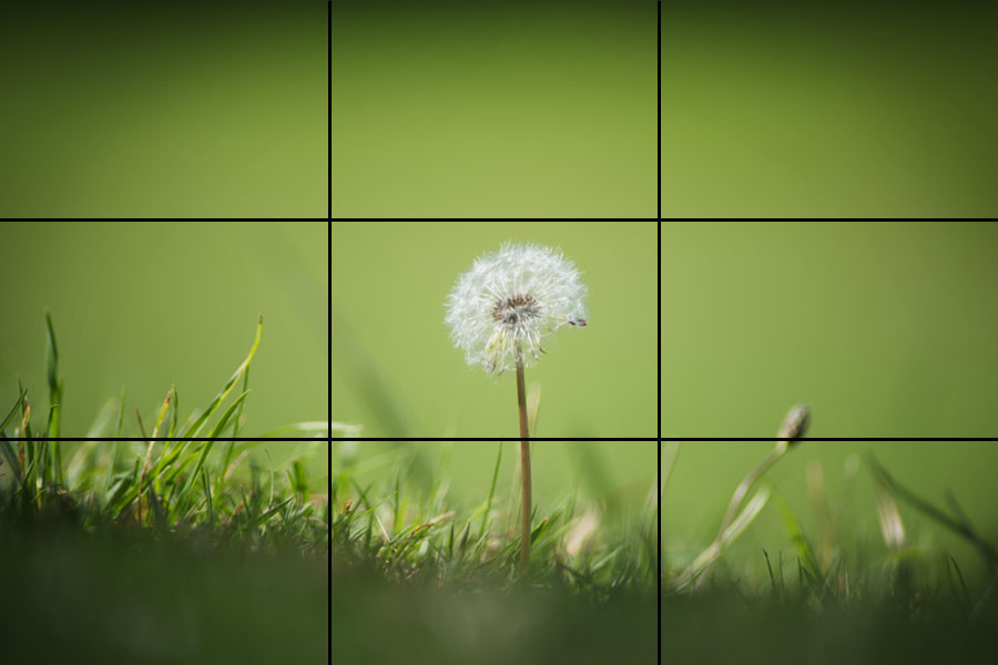 Breaking the Rule of Thirds Example