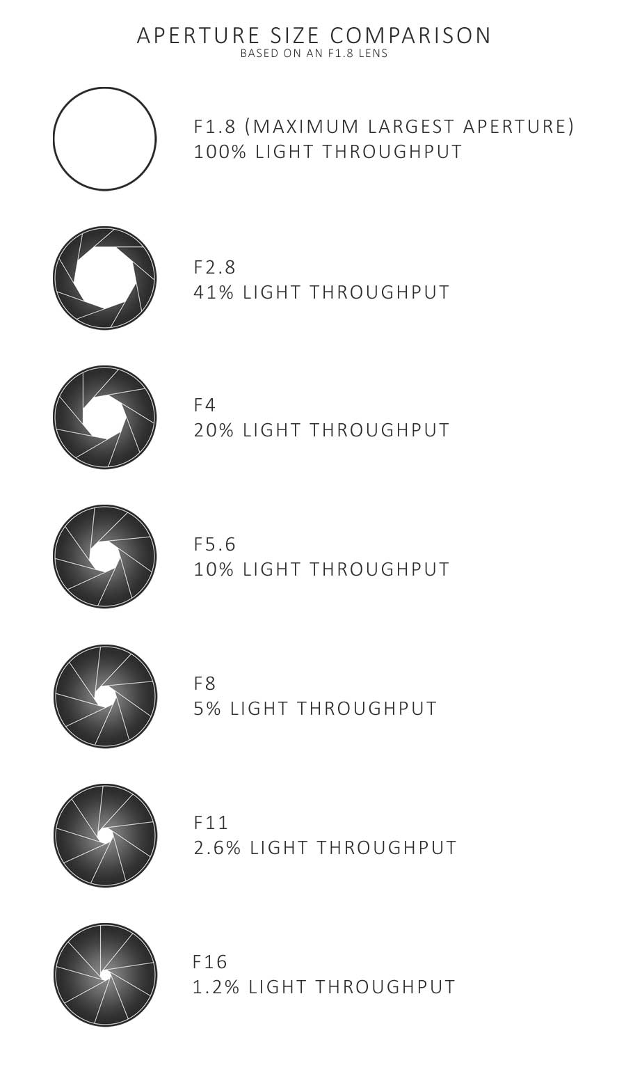 What is Aperture in Photography: Aperture Size Comparison Chart