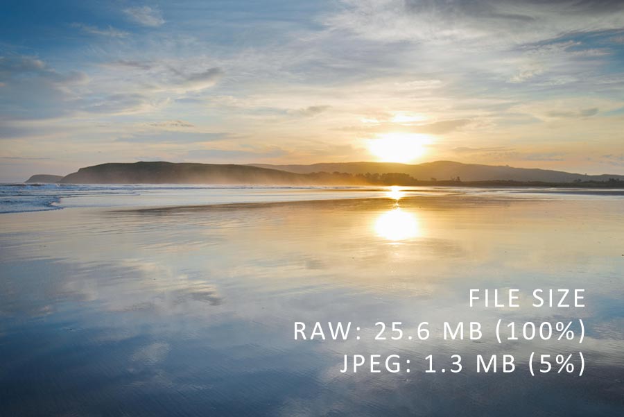 What is Raw in Photography: Raw vs JPEG file size comparison