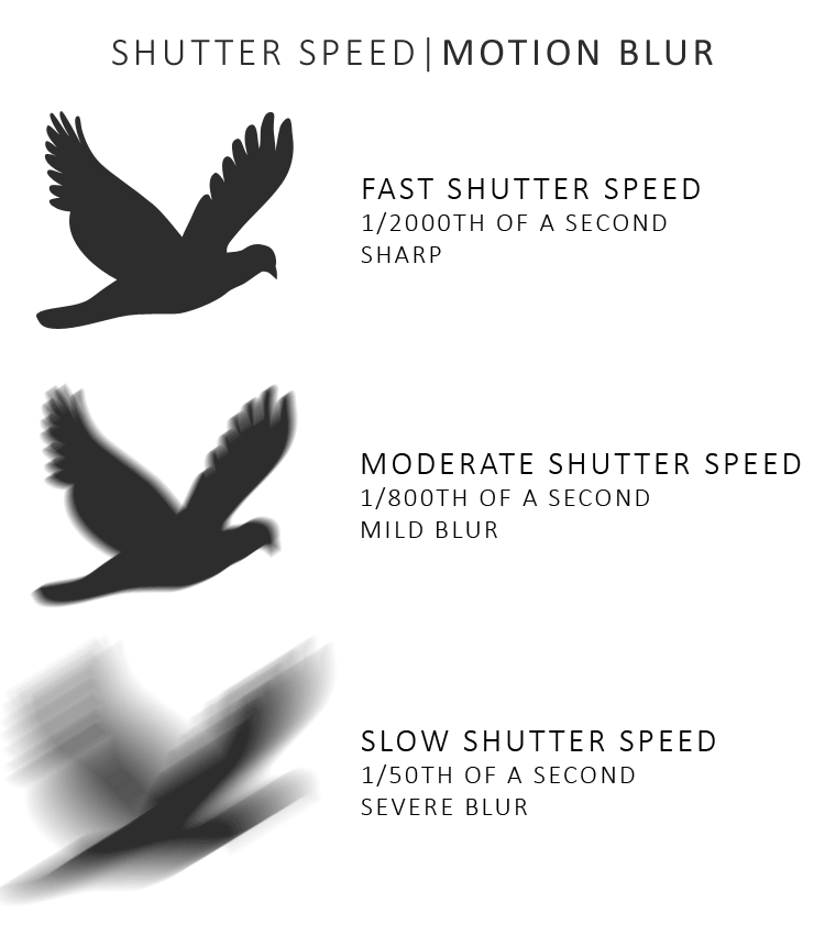 Using shutter speed to freeze motion