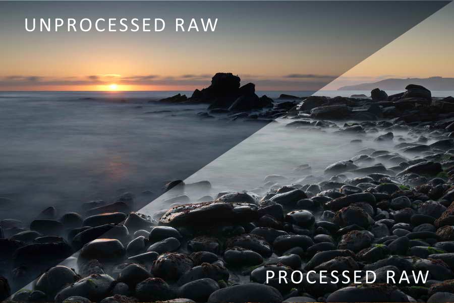 What is Raw in Photography: Raw vs JPEG comparison