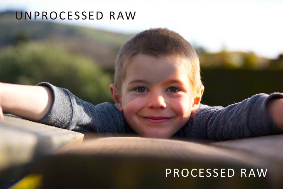 What is Raw in Photography: Raw versus JPEG comparison