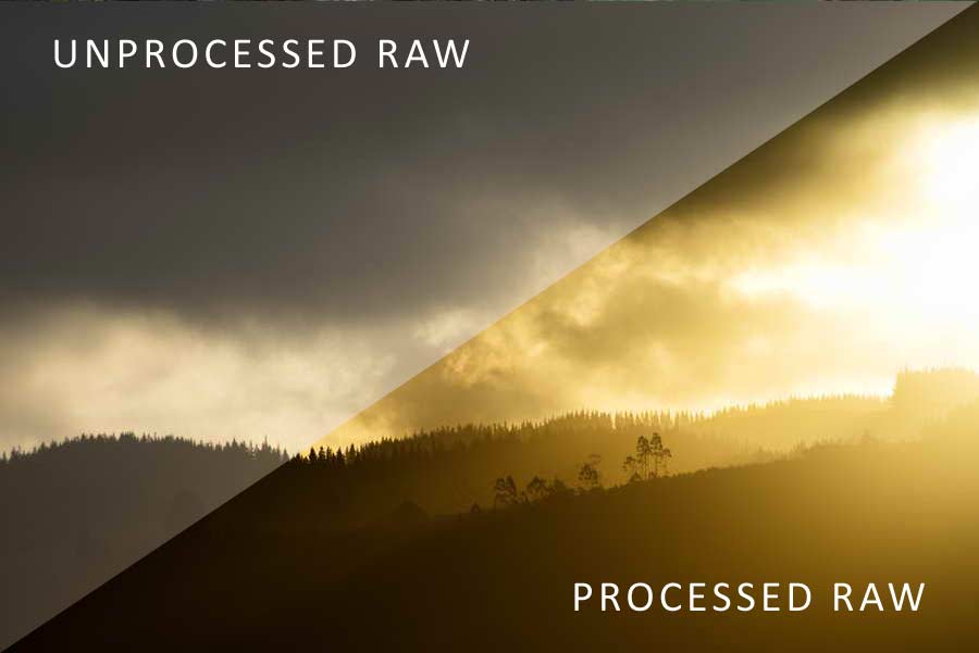 What is Raw in Photography: Raw vs JPEG comparison